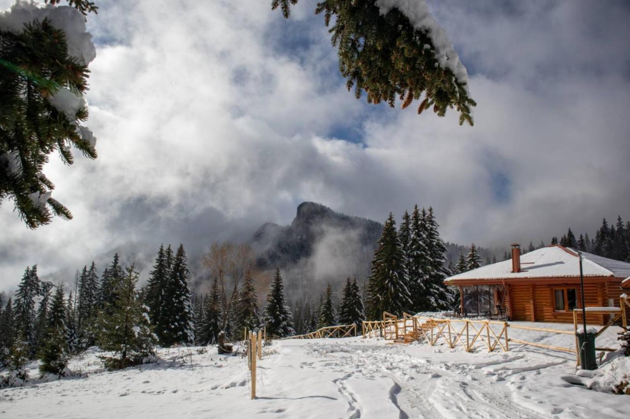 Вила Морава Pamporovo Kültér fotó