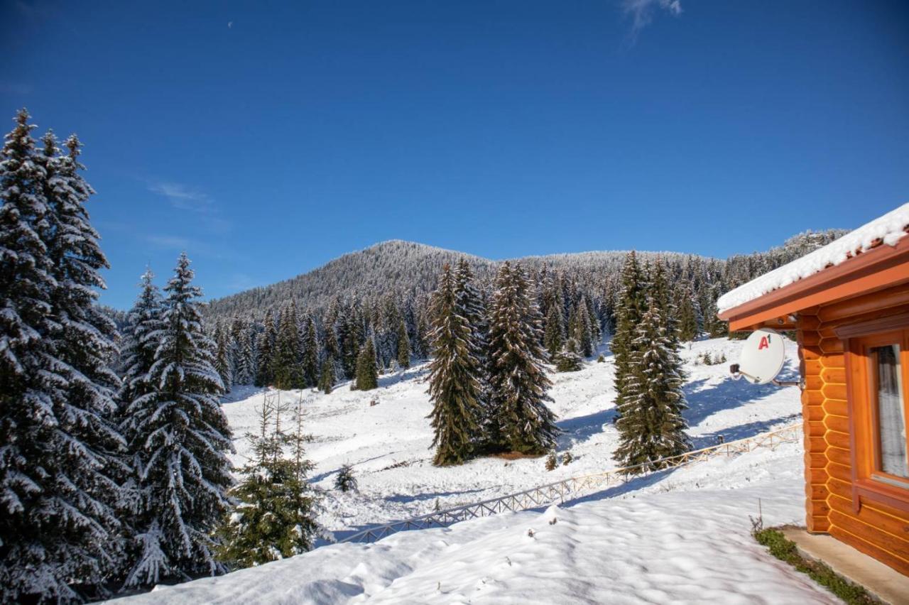 Вила Морава Pamporovo Kültér fotó